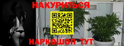 apvp Ивантеевка