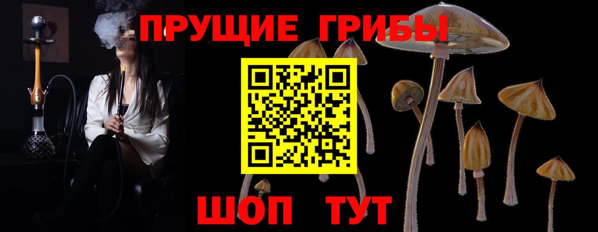 Псилоцибиновые грибы Magic Shrooms  Вход с VPN  Галлюциногенные грибы Psilocybe  Бийск 